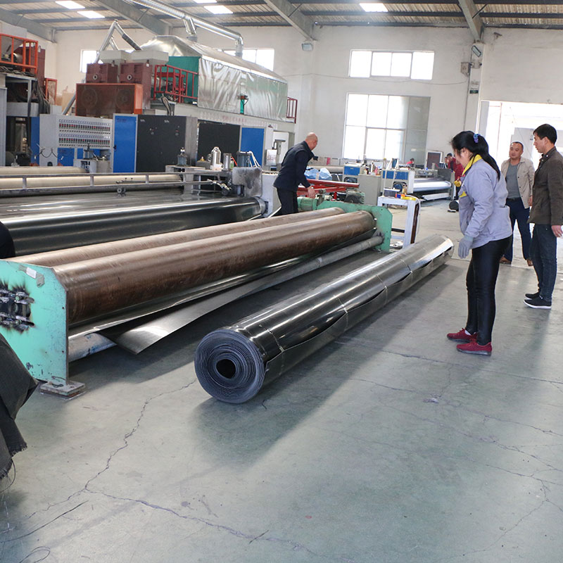 ����Ĥ���a(ch��n)�S(ch��ng)��